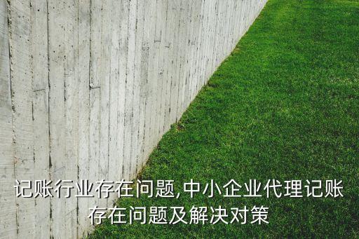 记账行业存在问题,中小企业代理记账存在问题及解决对策