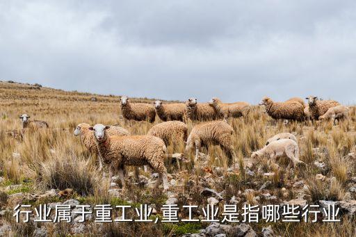 行业属于重工业,重工业是指哪些行业