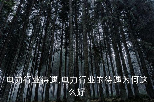 电力行业待遇,电力行业的待遇为何这么好