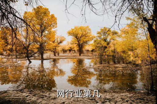 网行业第几