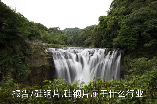 报告/硅钢片,硅钢片属于什么行业