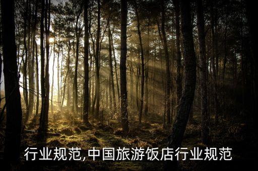 饭店行业规范,中国旅游饭店行业规范
