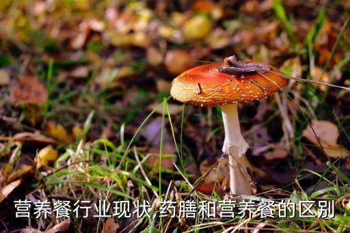 营养餐行业现状,药膳和营养餐的区别
