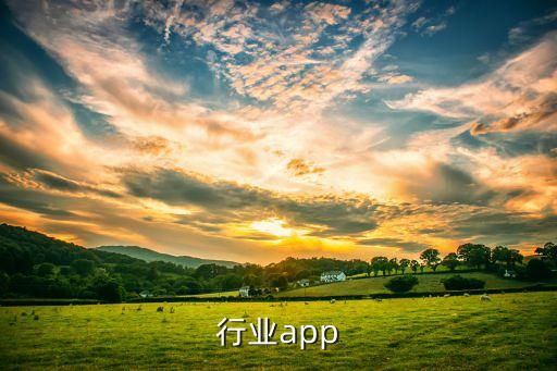 行业app
