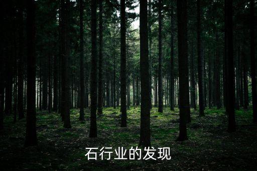 石行业的发现