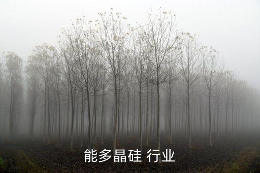 能多晶硅 行业