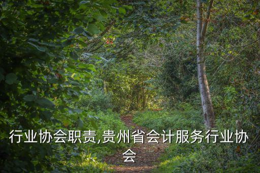 会计行业协会职责,贵州省会计服务行业协会