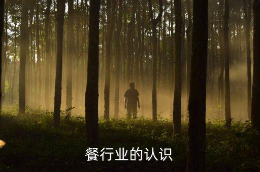 餐行业的认识