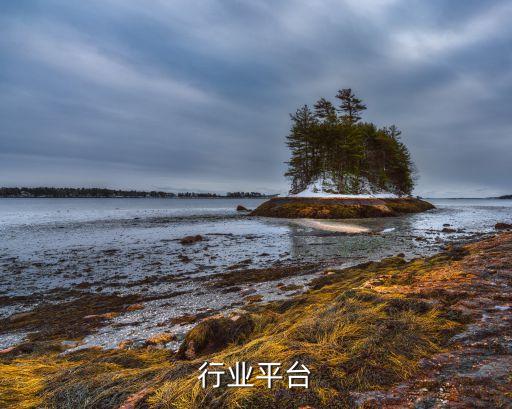 行业平台