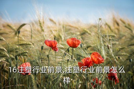 16注塑行业前景,注塑行业前景怎么样