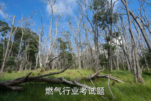 城镇燃气行业考试题