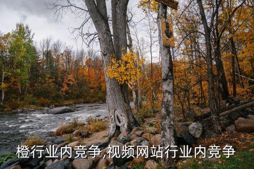 橙行业内竞争,视频网站行业内竞争