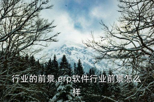 行业的前景,erp软件行业前景怎么样