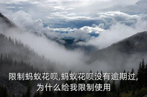 限制蚂蚁花呗,蚂蚁花呗没有逾期过,为什么给我限制使用