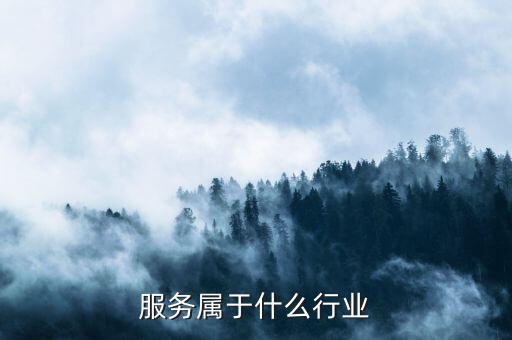 服务属于什么行业