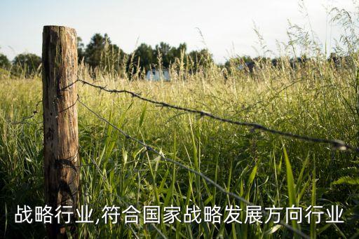 国家战略行业,符合国家战略发展方向行业