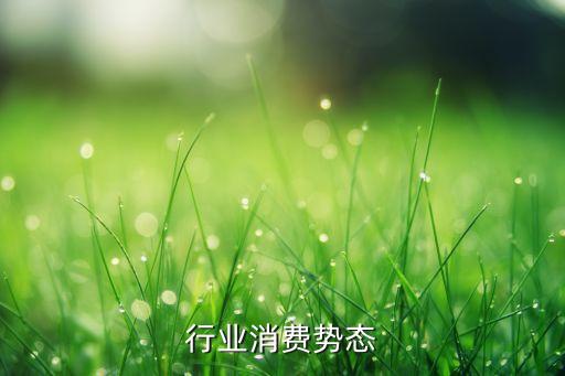 行业消费势态