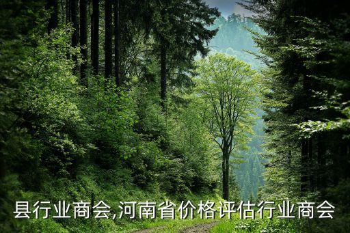 赞皇县行业商会,河南省价格评估行业商会