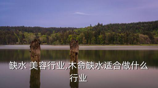 缺水 美容行业,木命缺水适合做什么行业