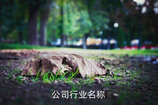 婚庆公司行业名称