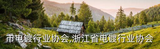 市电镀行业协会,浙江省电镀行业协会