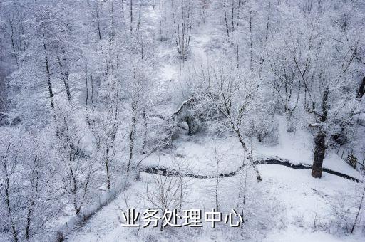 工行业务处理中心