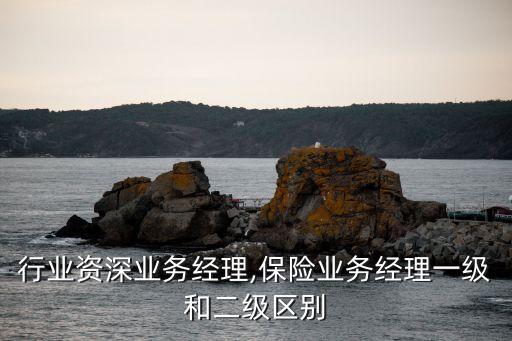 行业资深业务经理,保险业务经理一级和二级区别