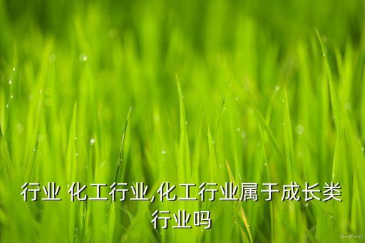行业 化工行业,化工行业属于成长类行业吗