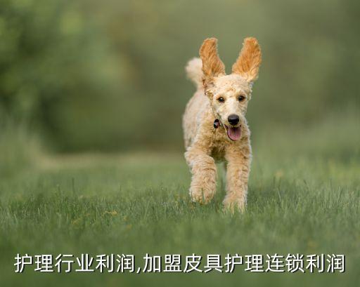 护理行业利润,加盟皮具护理连锁利润