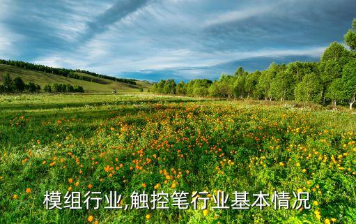 模组行业,触控笔行业基本情况