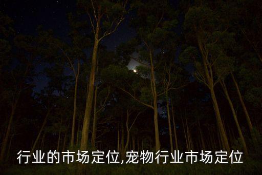 轧辊行业的市场定位,宠物行业市场定位