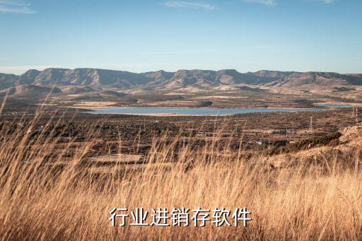 行业进销存软件