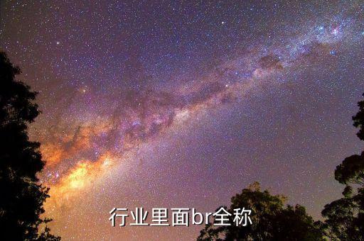 健身行业里面br全称