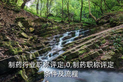 化工制药行业职称评定,0,制药职称评定条件及流程