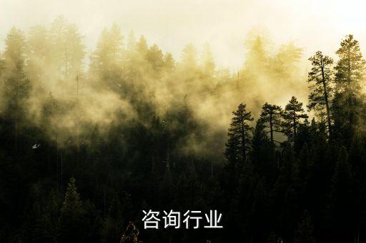 咨询行业
