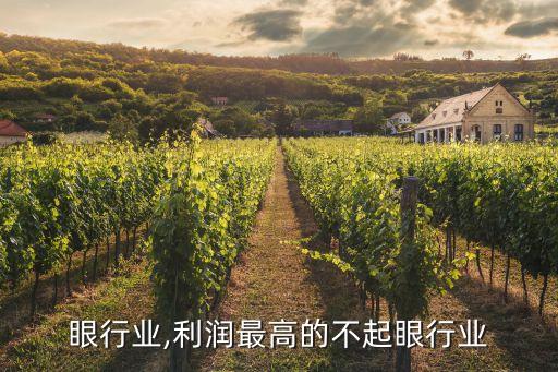 眼行业,利润最高的不起眼行业