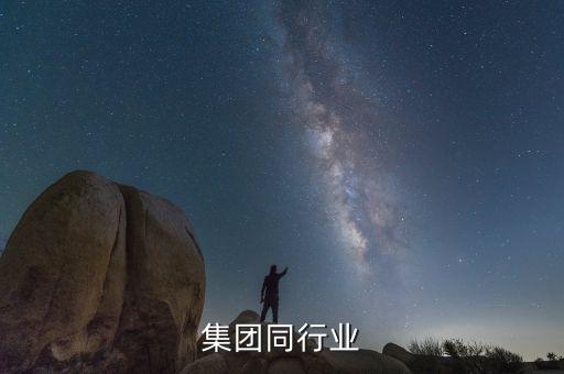 集团同行业