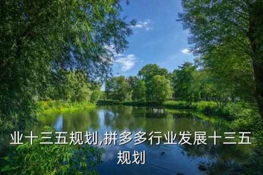 业十三五规划,拼多多行业发展十三五规划