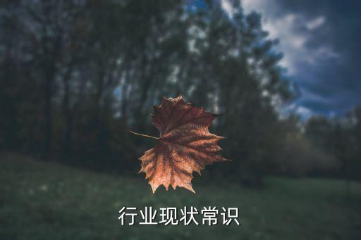 百货行业现状常识