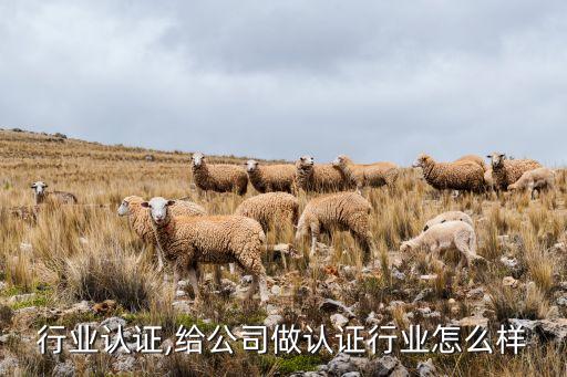 行业认证,给公司做认证行业怎么样