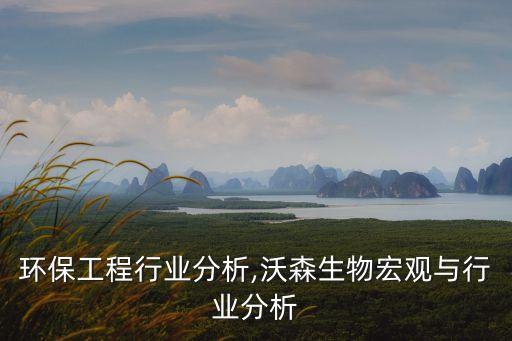 宏观环保工程行业分析,沃森生物宏观与行业分析