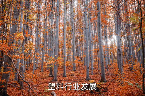 工程塑料行业发展