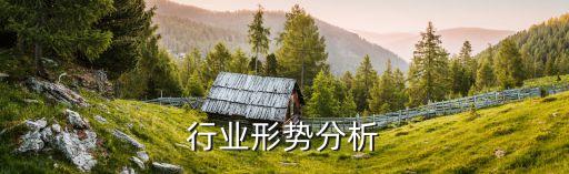 汽车行业形势分析