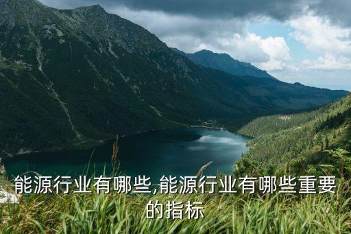 国家能源行业有哪些,能源行业有哪些重要的指标
