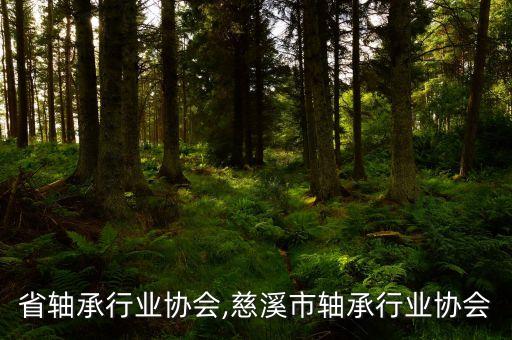 浙江省轴承行业协会,慈溪市轴承行业协会