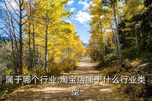 属于哪个行业,淘宝店属于什么行业类型