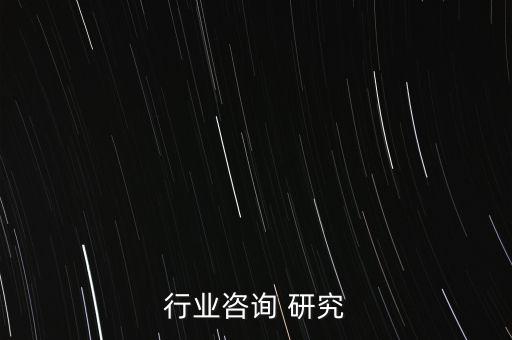 石化行业咨询 研究