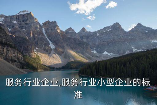服务行业企业,服务行业小型企业的标准