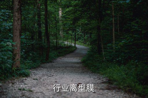 行业离型膜
