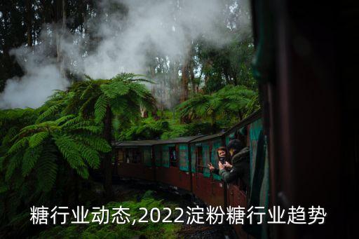 淀粉糖行业动态,2022淀粉糖行业趋势